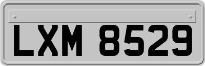 LXM8529