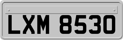 LXM8530