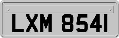LXM8541