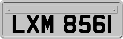 LXM8561