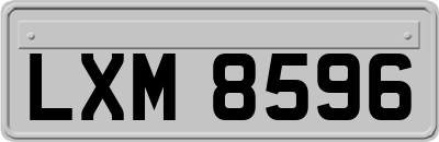 LXM8596