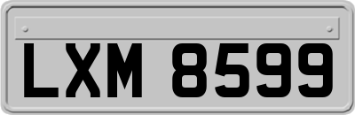 LXM8599