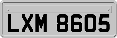 LXM8605