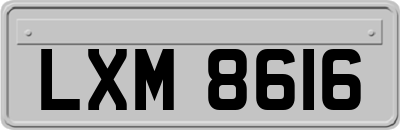 LXM8616