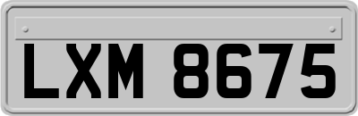 LXM8675