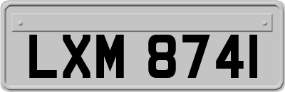 LXM8741