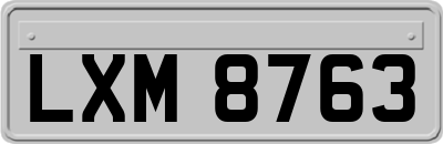 LXM8763