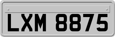 LXM8875