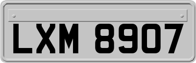 LXM8907