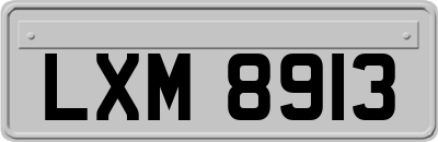 LXM8913