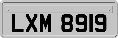 LXM8919