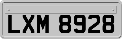 LXM8928