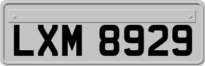LXM8929