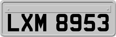 LXM8953
