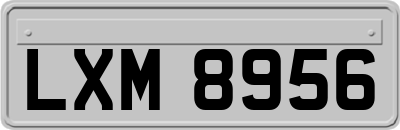 LXM8956