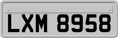 LXM8958
