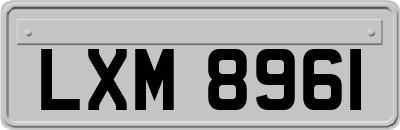 LXM8961