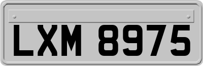 LXM8975