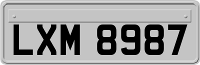 LXM8987