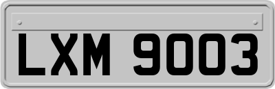 LXM9003