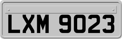 LXM9023