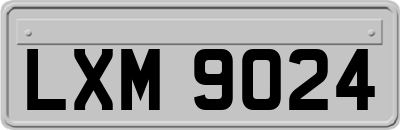 LXM9024