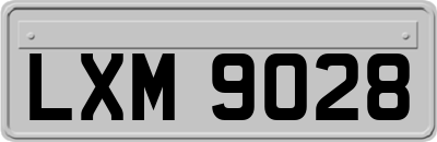 LXM9028
