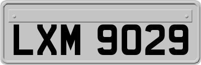 LXM9029