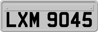 LXM9045