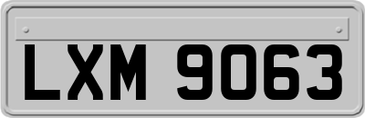 LXM9063