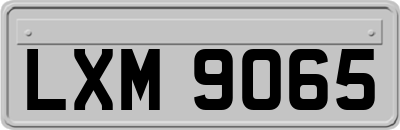 LXM9065
