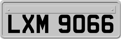 LXM9066