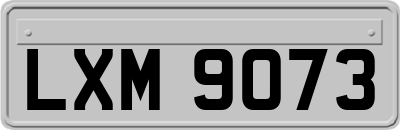 LXM9073