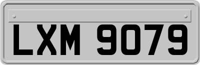 LXM9079