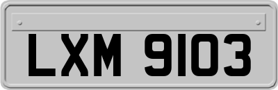 LXM9103