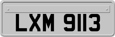 LXM9113