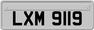 LXM9119