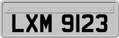 LXM9123