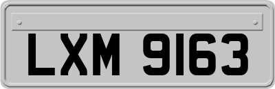 LXM9163