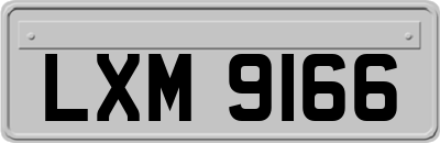 LXM9166