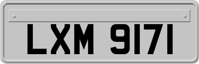 LXM9171