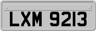 LXM9213
