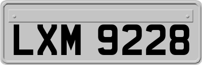 LXM9228