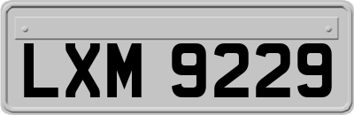 LXM9229