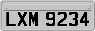 LXM9234