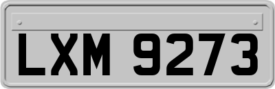 LXM9273