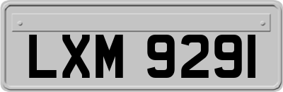LXM9291