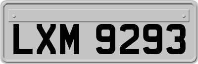 LXM9293