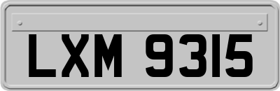 LXM9315