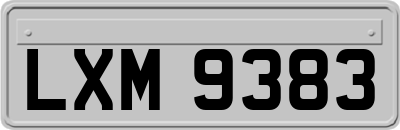 LXM9383